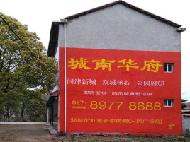  延津县百分之90的人都不了解的农村墙体广告