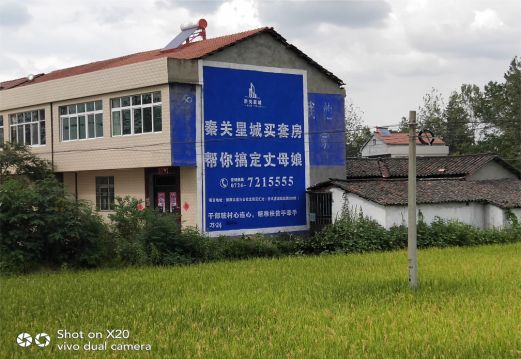 延津县决定墙体广告价格的因素有哪些?