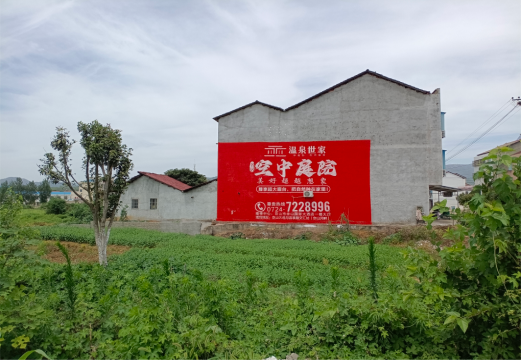  延津县做墙体广告的意义